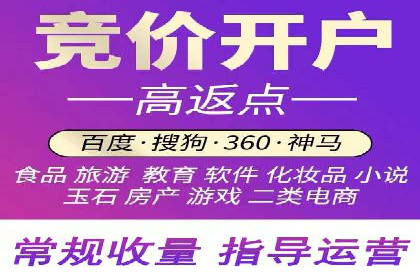 实战经验：竞价推广公司成功案例解析